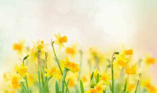 Spring Property Surge: Best time to Sell Your Property