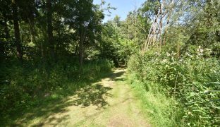 Beccles - Plot with moorings