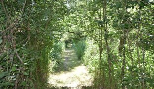 Beccles - Plot with moorings