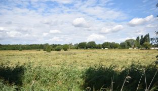 Potter Heigham - 3 Bedroom Detached bungalow